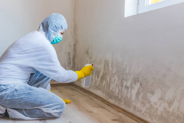 Best Post-Remediation Verification Testing  in Ashville, AL