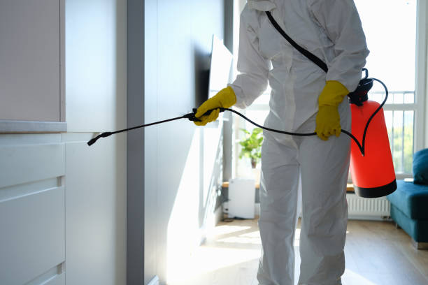 Best Emergency Mold Remediation  in Ashville, AL