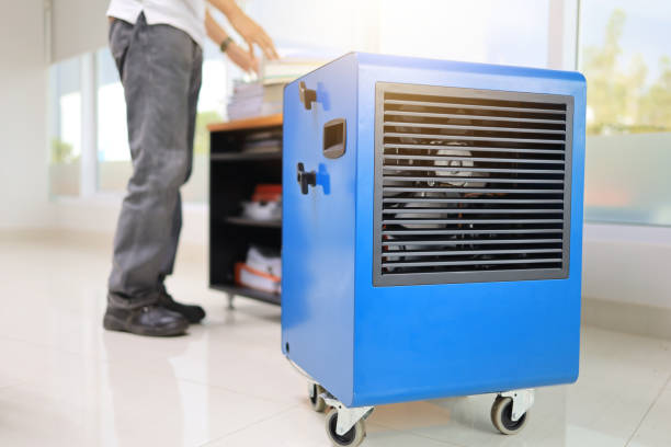 Best Environmental Consulting for Mold Prevention  in Ashville, AL