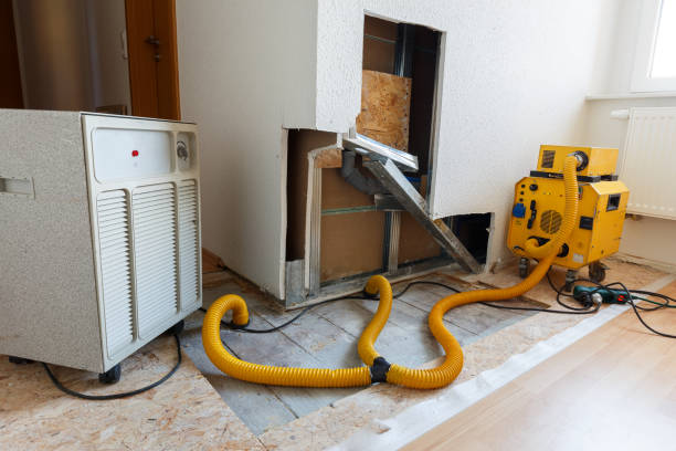 Best Dehumidification Services  in Ashville, AL